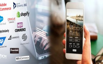 Customizable and Cost-Effective Website Solutions for Fashion Retailers